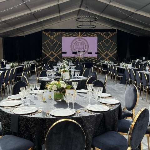 Black & Gold Velour Rental in Rochester, NY