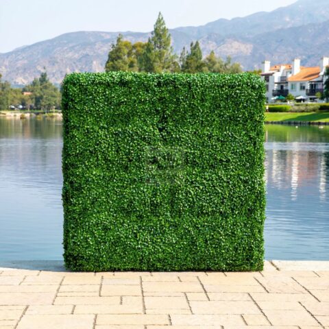 Boxwood Hedge- Freestanding Rental in Rochester, NY