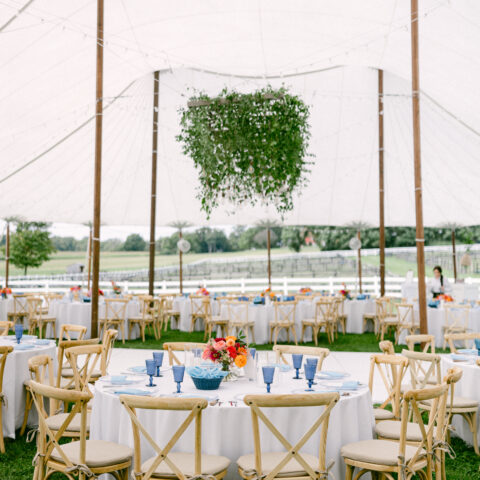 Natural Vineyard Crossback Rental in Rochester, NY