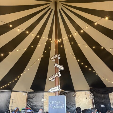 Gatsby Grand Striped Sail Cloth Tent Rental in Rochester, NY