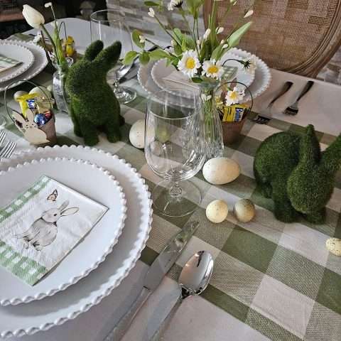 Pearl White China Rental in Rochester, NY
