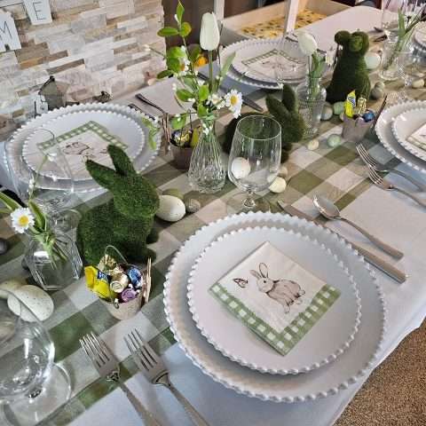 Pearl White China Rental in Rochester, NY