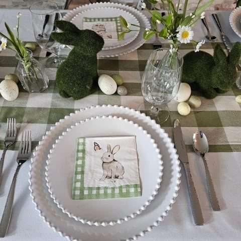 Pearl White China Rental in Rochester, NY