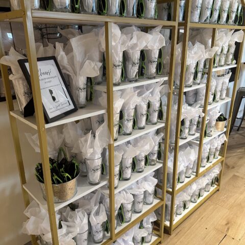 Gold & White Shelf Rental in Rochester, NY