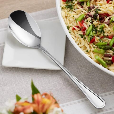 Solid Serving Spoon Rental in Rochester, NY