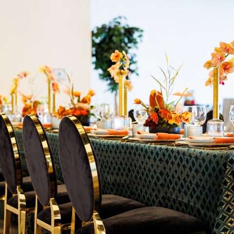 Black & Gold Velour Rental in Rochester, NY