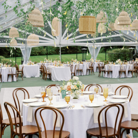 Bentwood Chair Rental in Rochester, NY